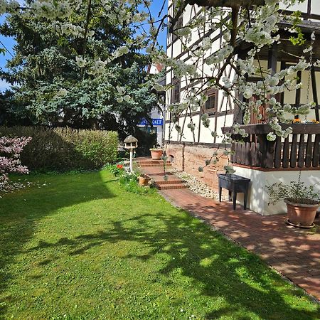 Apartments Am Saalebogen Mit Gartenterrasse, Grillkamin, Freie Parkplaetze Rudolstadt Kültér fotó