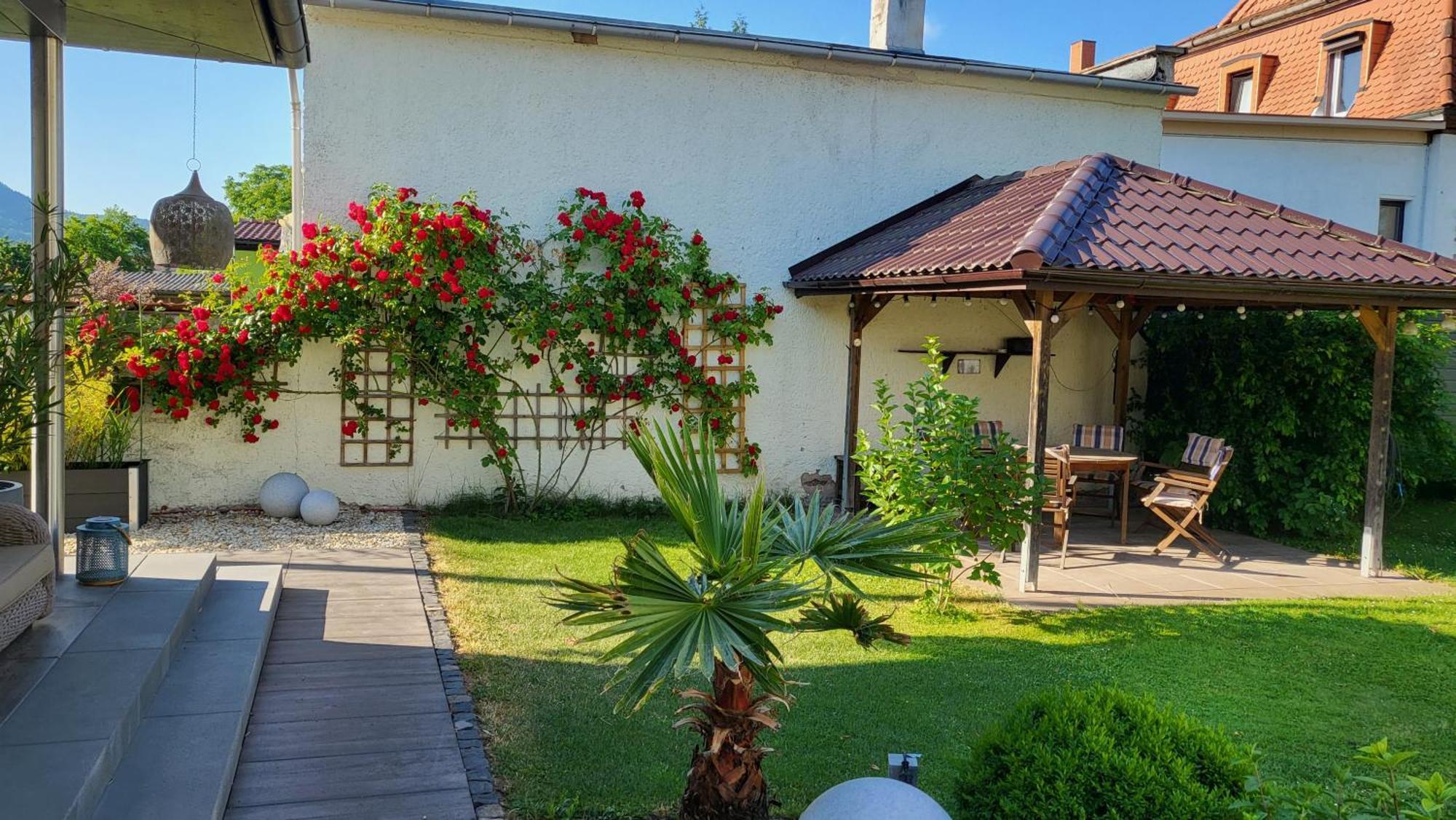 Apartments Am Saalebogen Mit Gartenterrasse, Grillkamin, Freie Parkplaetze Rudolstadt Kültér fotó