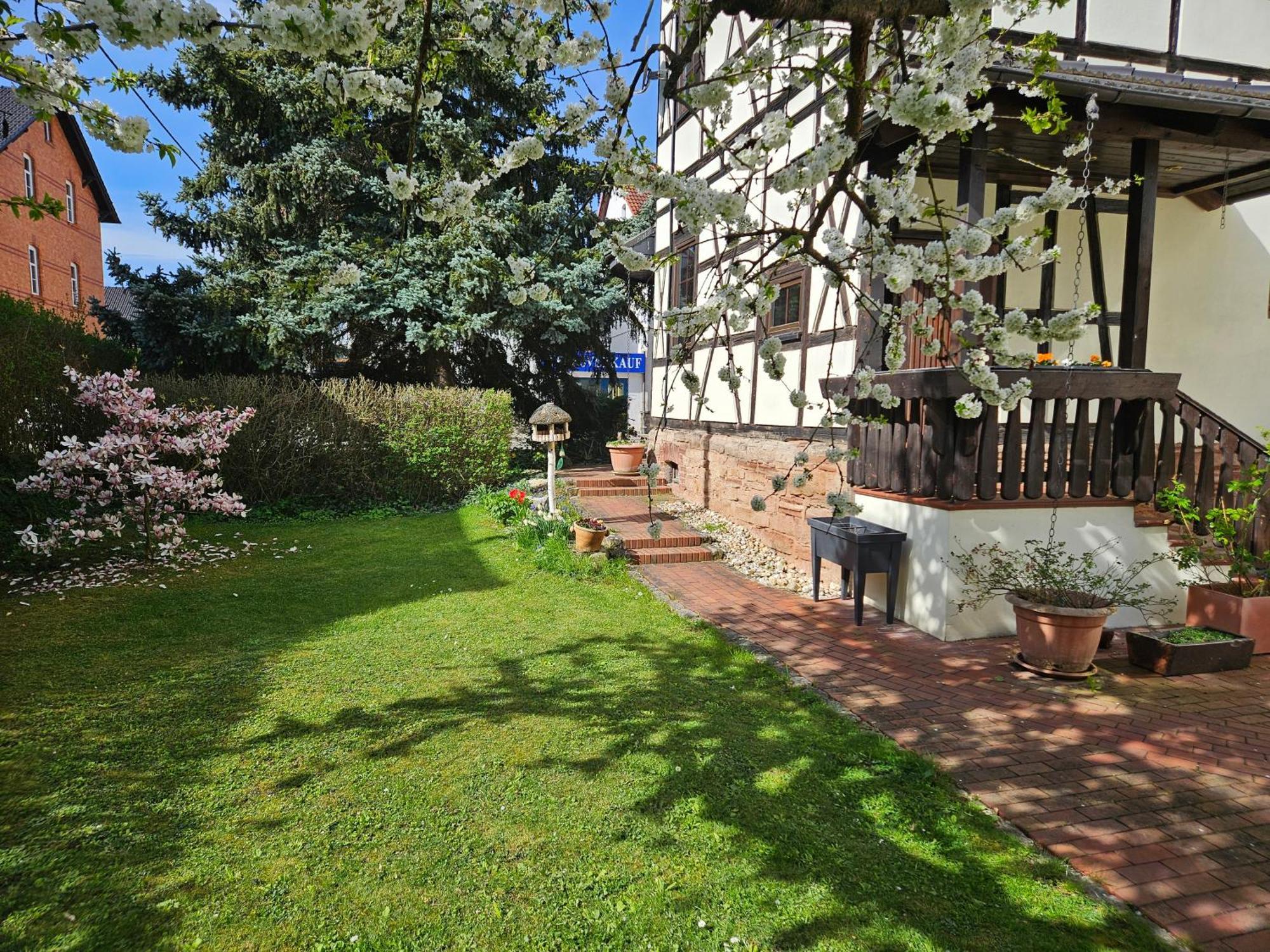 Apartments Am Saalebogen Mit Gartenterrasse, Grillkamin, Freie Parkplaetze Rudolstadt Kültér fotó